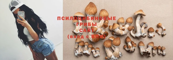 спайс Алексин