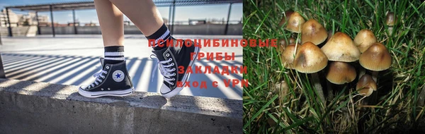спайс Алексин