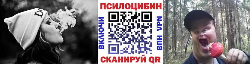 Псилоцибиновые грибы GOLDEN TEACHER  Сыктывкар 