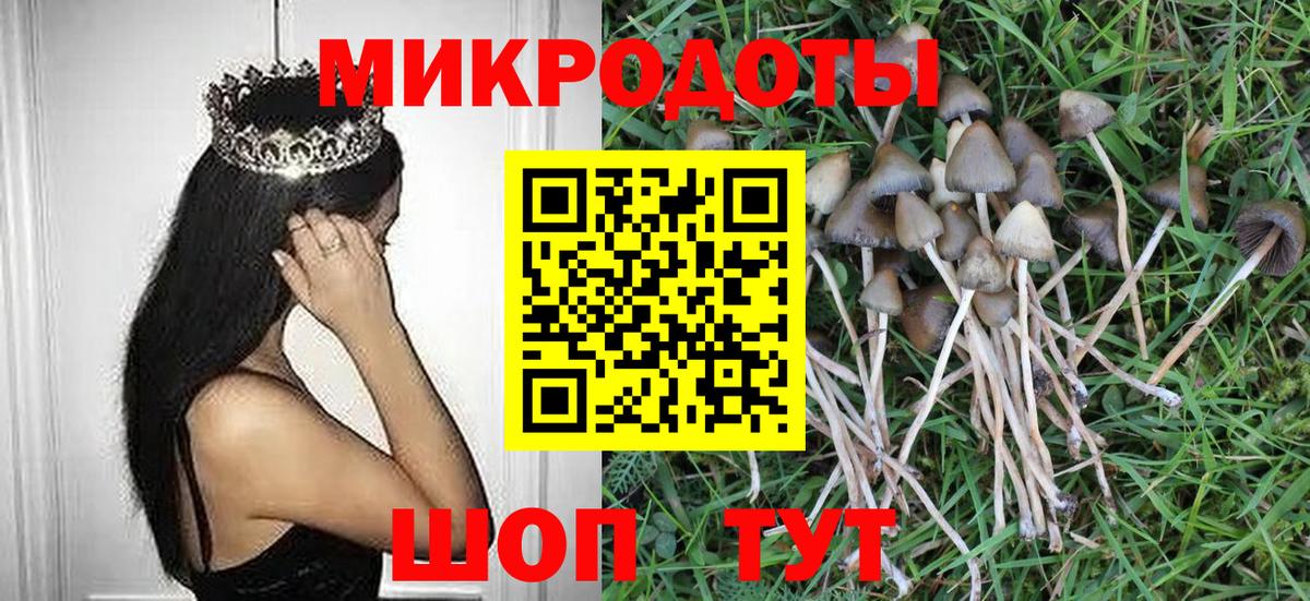 Сыктывкар  Псилоцибиновые грибы мицелий  Псилоцибиновые грибы мицелий  Вход с VPN 